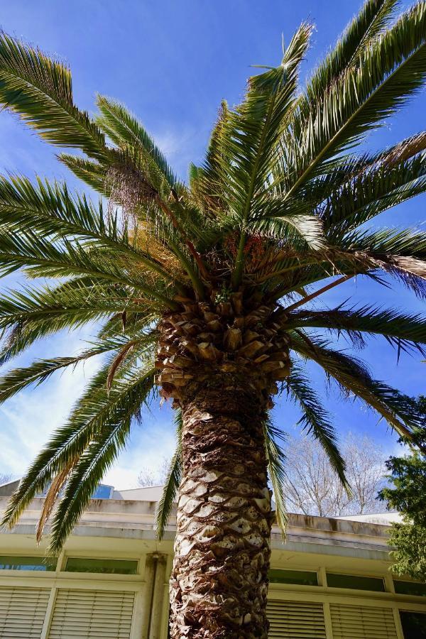 Beach, Wine, Dining, Sports, Summer, Winter Apartment Sérignan Exterior foto
